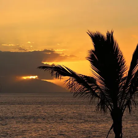 Beautiful Sunset